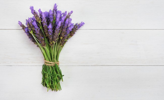 Why-You-Need-More-Lavender-in-Your-Life-e1462955823730